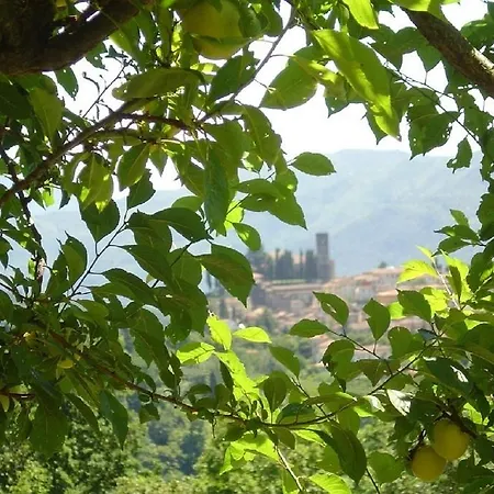 Vakantiehuis Il Trebbio