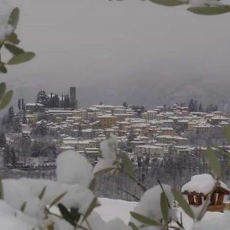 Il Trebbio Vakantiehuis *