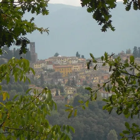 Vakantiehuis Il Trebbio *