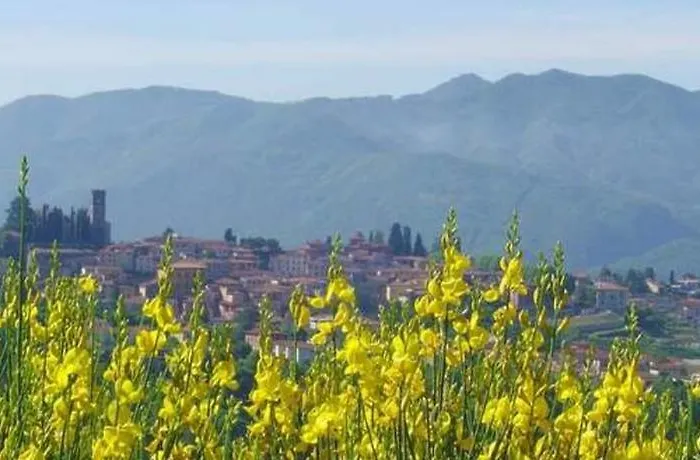 Il Trebbio