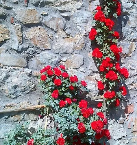 Il Trebbio בית נופש ברגה