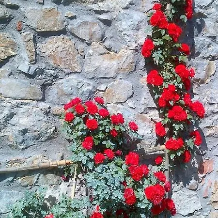 Il Trebbio בית נופש ברגה