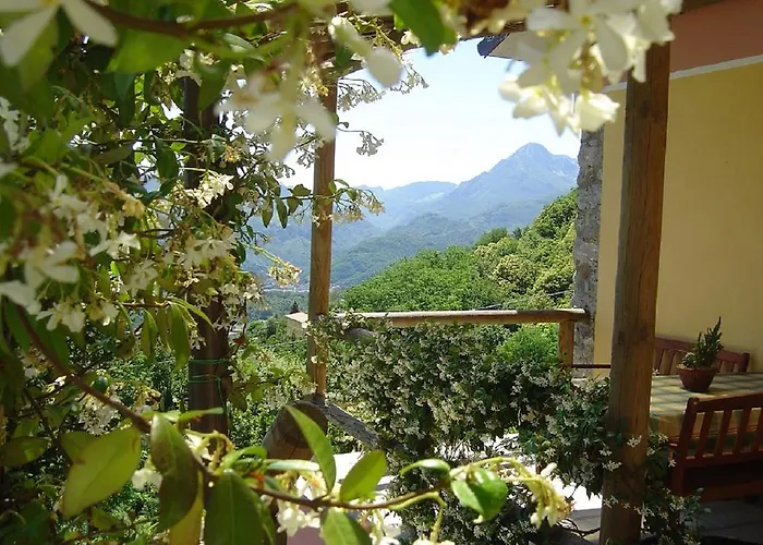 Il Trebbio 바르가