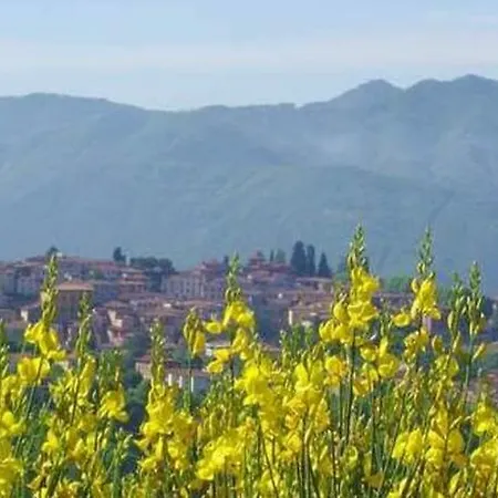 Il Trebbio