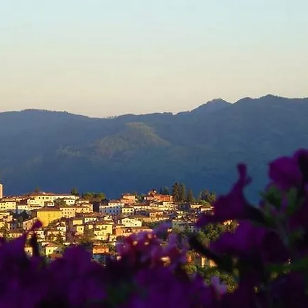 Casa vacanze Il Trebbio *