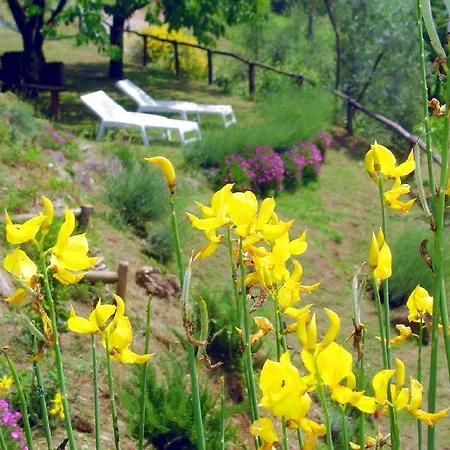 Il Trebbio Casa vacanze